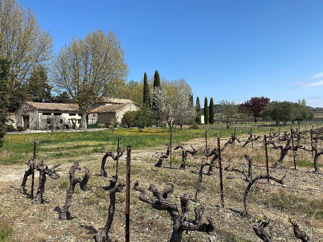 Maisonnette au milieu des vignes, en Drôme provençale in Tulette, Région de nyons