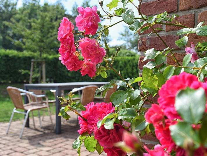 Ferienhaus für 6 Personen, mit Garten und Sauna, kinderfreundlich in Borgsum - 4
