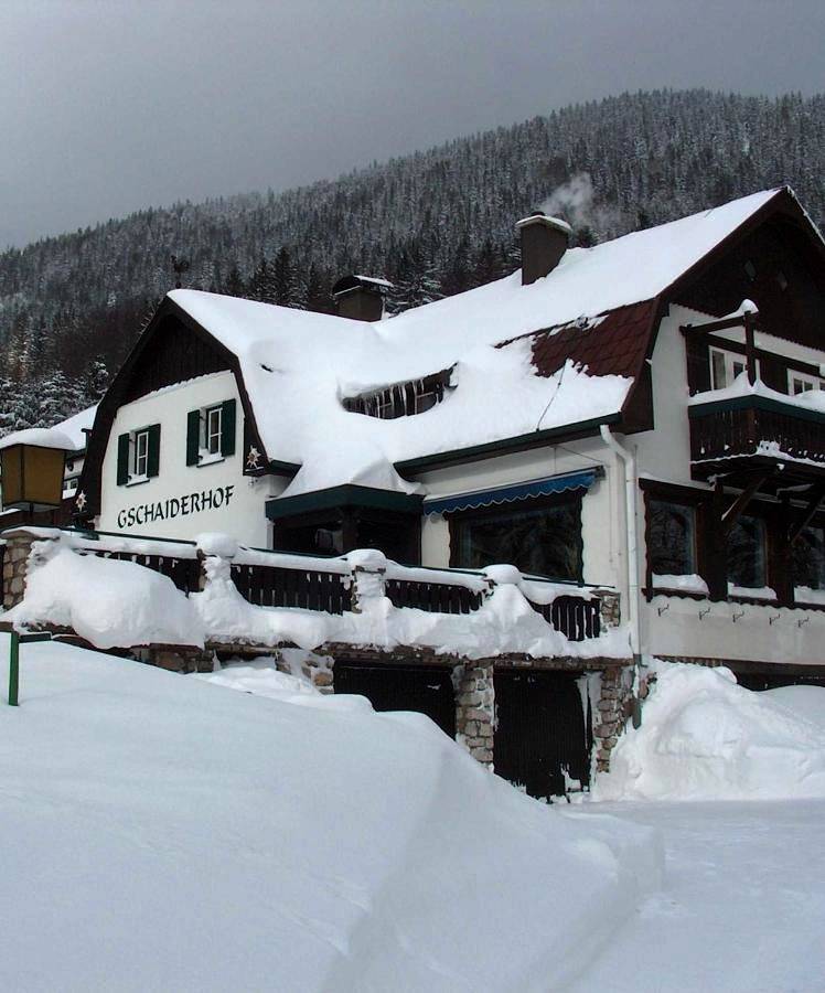 Ganze Wohnung, Landhaus Gschaiderhof in Puchberg am Schneeberg, Wiener Alpen in Niederösterreich