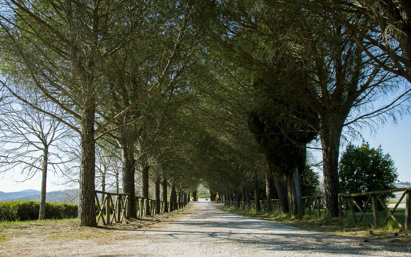Villa Di Gaiole in Gaiole in Chianti, Chianti