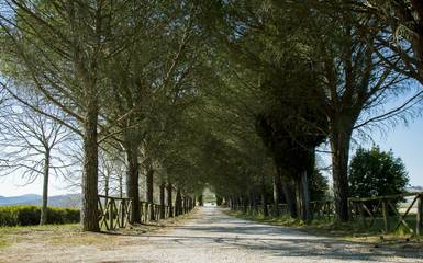 Casa Vacanza per 12 Persone in Gaiole in Chianti, Chianti, Foto 3
