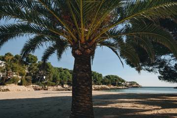 Apartment in Santanyí, South Majorca für 3 