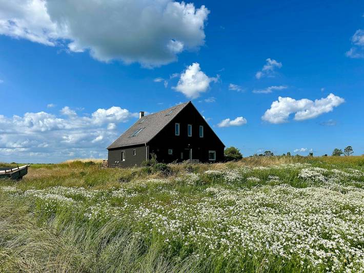 Ferienhaus für 5 Personen, mit Terrasse in Lolland - 2