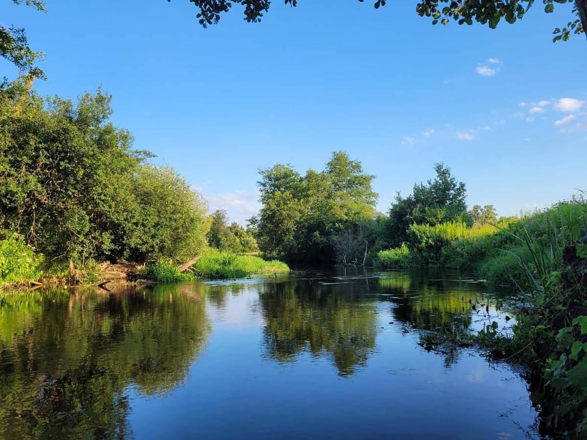 Wiosłem w Hamaku Domek nad Wkrą in Mazowsze