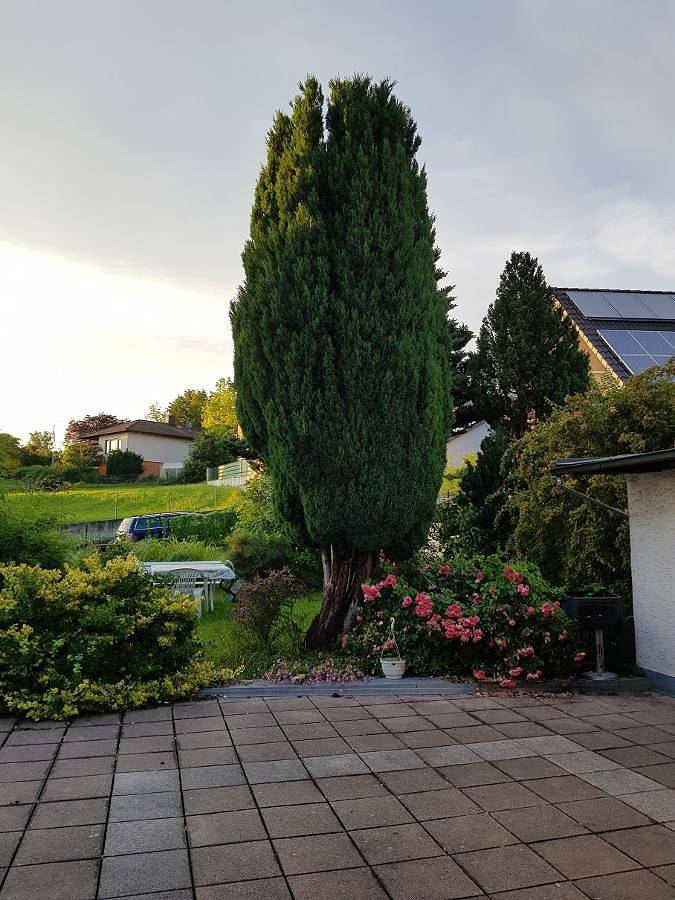 Ganze Wohnung, Monteurhaus Villa Rotter - Monteurwohnung Sonja in Altenstadt a.d.Waldnaab, Naturpark Nördlicher Oberpfälzer Wald