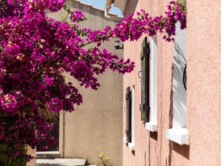 Appartement de vacances pour 6 personnes, avec terrasse et jardin dans Haute-Corse - 3