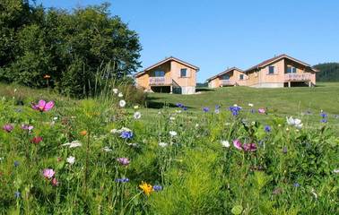 Maison de campagne pour 6 personnes, avec vue et piscine ainsi que sauna et jardin, animaux acceptés à Prénovel