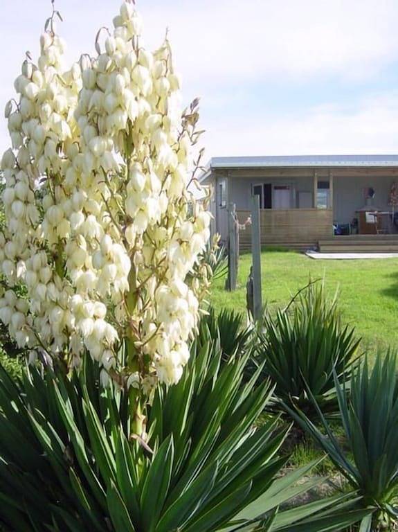 Funky 50's Beach House in Kapiti Coast District