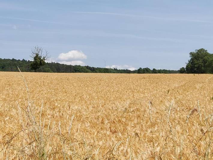 Gîte pour 2 personnes, avec vue et jardin à Gesves - 4