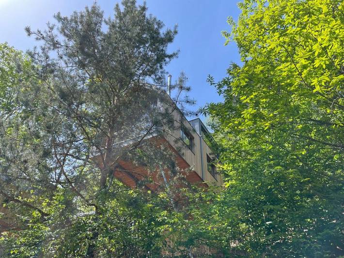 Ferienhaus für 5 Personen, mit Ausblick und Terrasse, mit Haustier in Trifelsland - 2