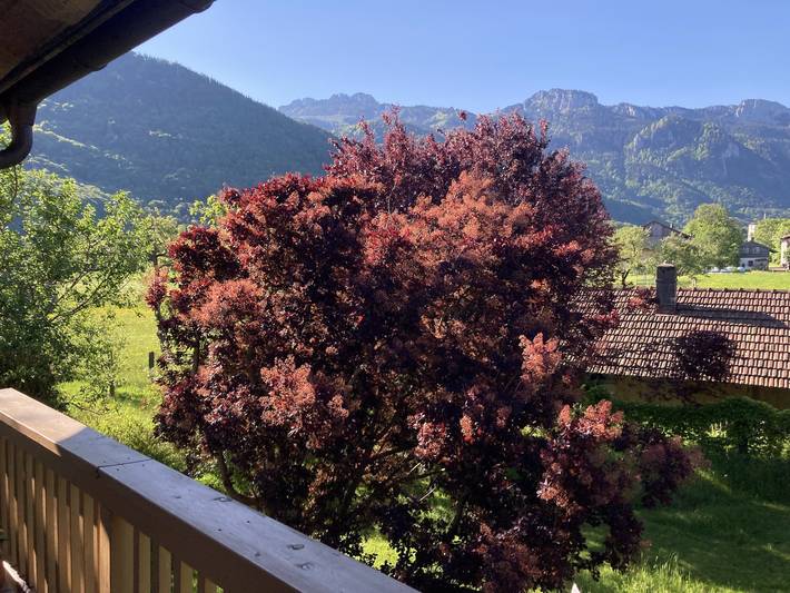 Ferienwohnung für 4 Personen, mit Balkon/Terrasse und Balkon, kinderfreundlich in Aschau (Chiemgau) - 2
