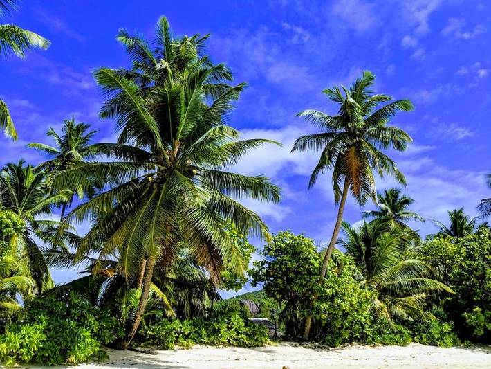 Location de vacances pour 2 personnes, avec jardin et vue aux Seychelles - 4