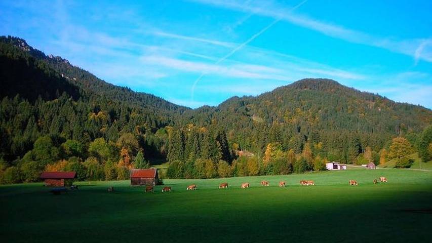 Ferienwohnung für 2 Personen, mit Balkon in der Zugspitzregion - 4