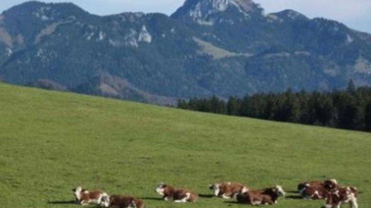 Ganze Ferienwohnung, Ferienwohnung für 4 Personen (50 m²) in Schliersee in Schliersee, Alpenland Tegernsee Schliersee