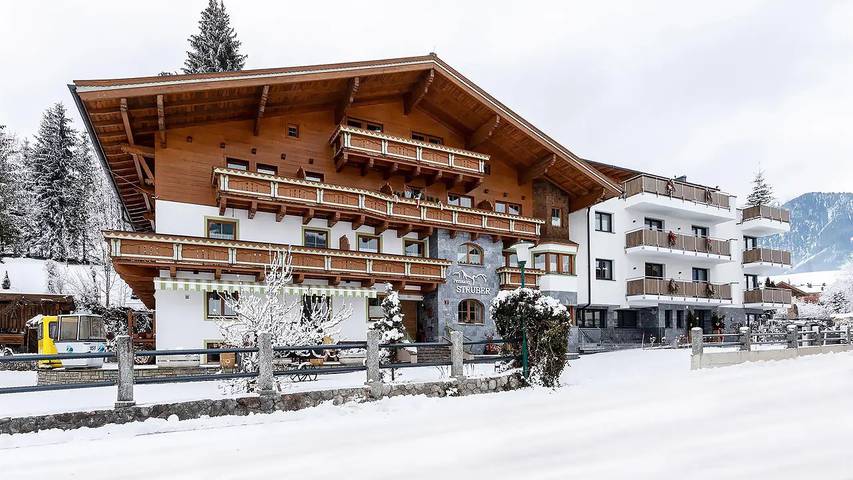 Ferienwohnung für 3 Personen, mit Garten und Terrasse sowie Sauna, mit Haustier in Maria Alm - 2