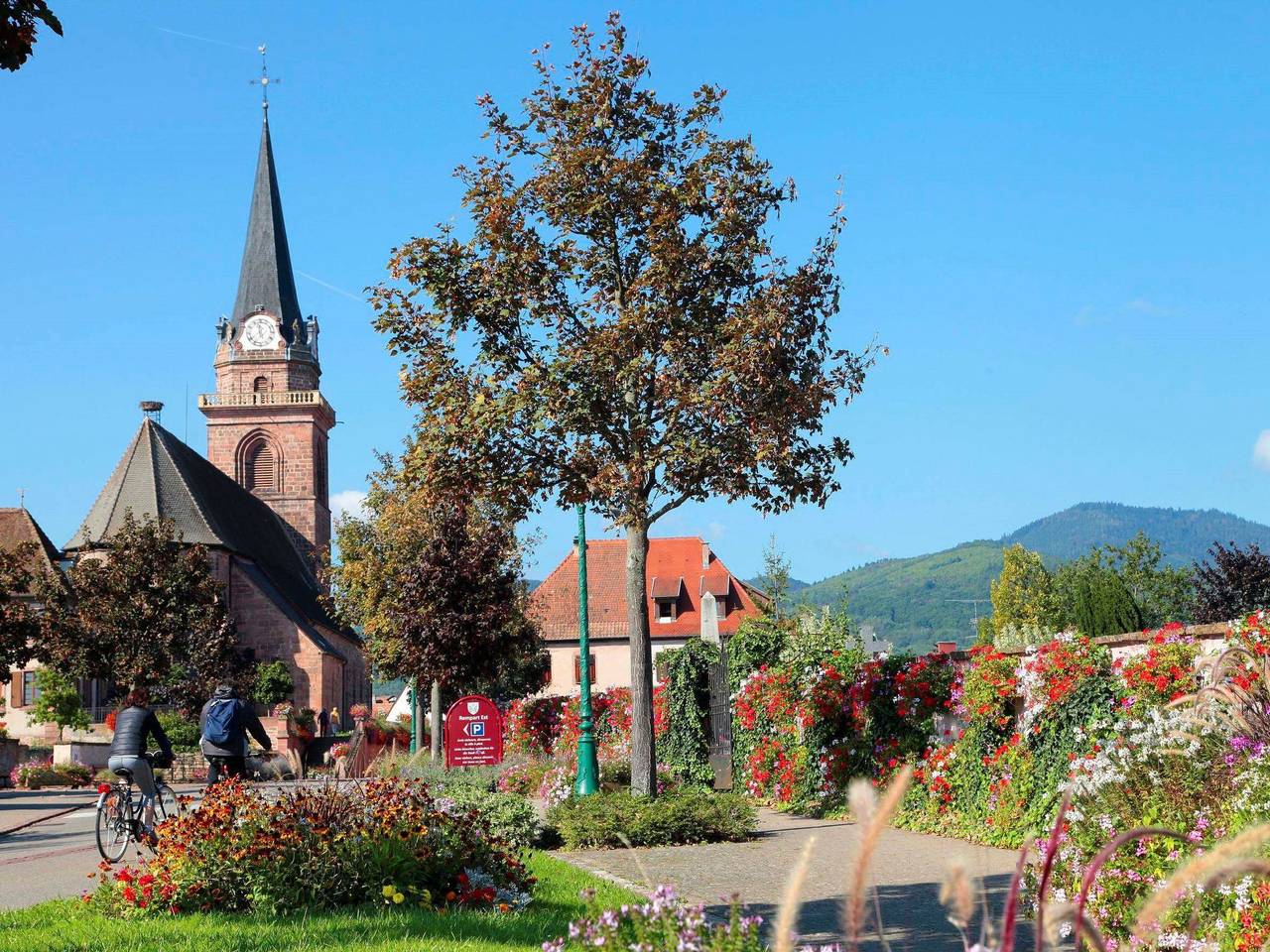 Ganze Wohnung, Odalys Référence Le Domaine des Rois in Bergheim (Elsass), Regionaler Naturpark Belchen der Vogesen