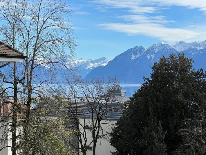 Apartament wakacyjny dla 3 osób, z balkon i widok w Lozanna