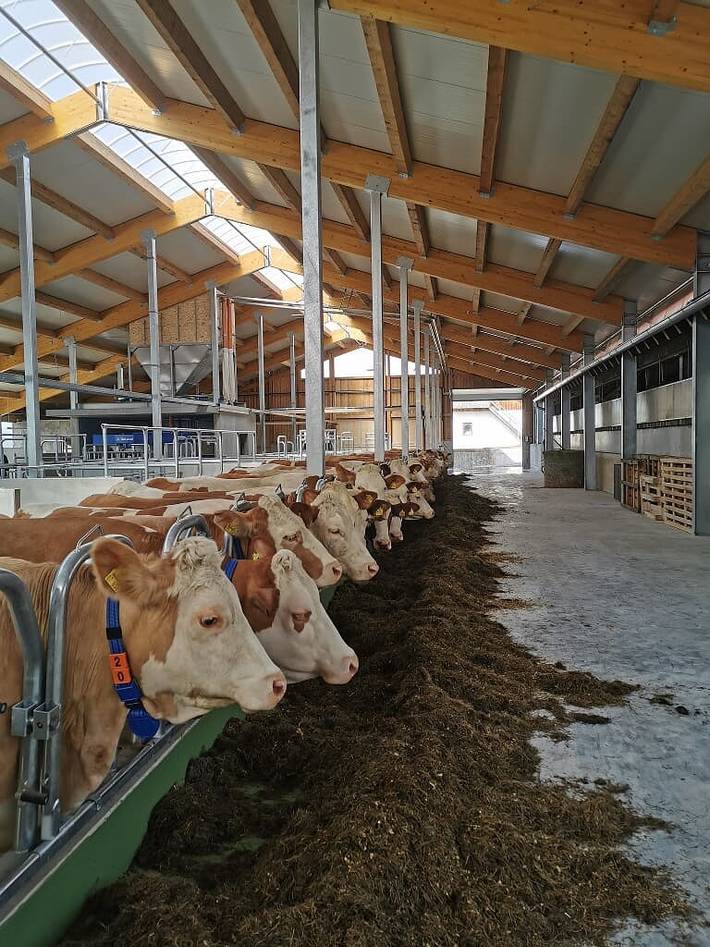 Ferienhaus für 4 Personen, mit Garten und Sauna sowie Balkon, kinderfreundlich im Bayerischer Wald - 4