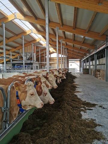 Ferienhaus für 4 Personen in Böbrach, Vorderer Bayerischer Wald, Bild 3