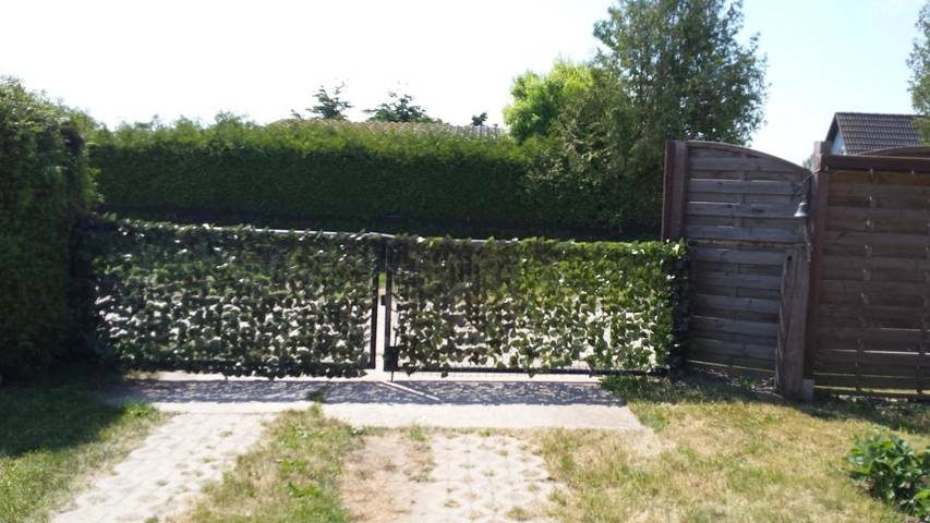 Ferienhaus für 4 Personen, mit Garten, mit Haustier in Wolgast - 3
