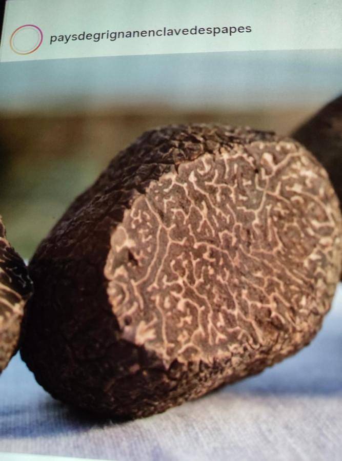 Location de vacances pour 8 personnes, avec jardin et piscine, adapté aux familles à Richerenches - 3