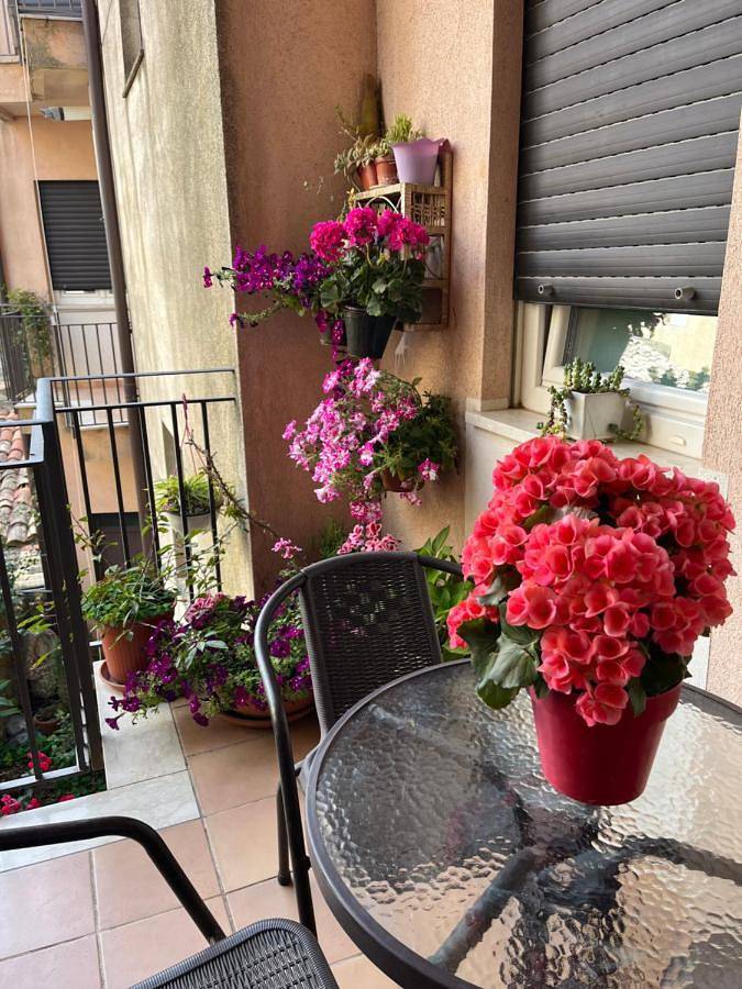 Location de vacances pour 2 personnes, avec jardin, animaux acceptés à Enna - 4