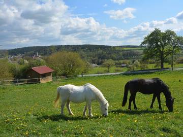 Bauernhof für 4 Personen in Buchen, Neckartal-Odenwald Nature Park, Bild 3