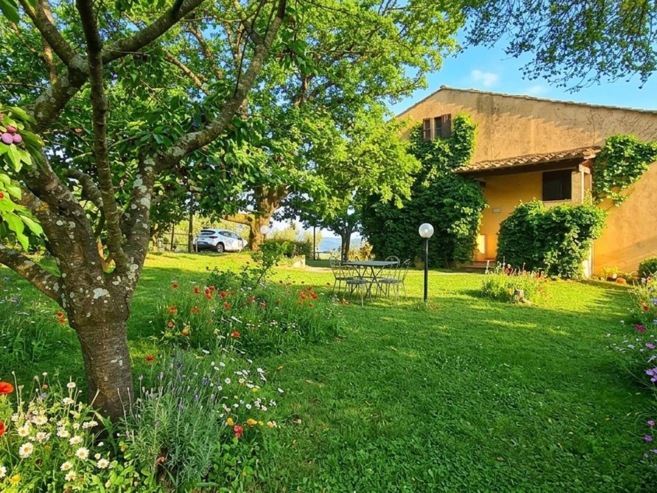 Appartamento intero, Edera in Pontassieve, Chianti