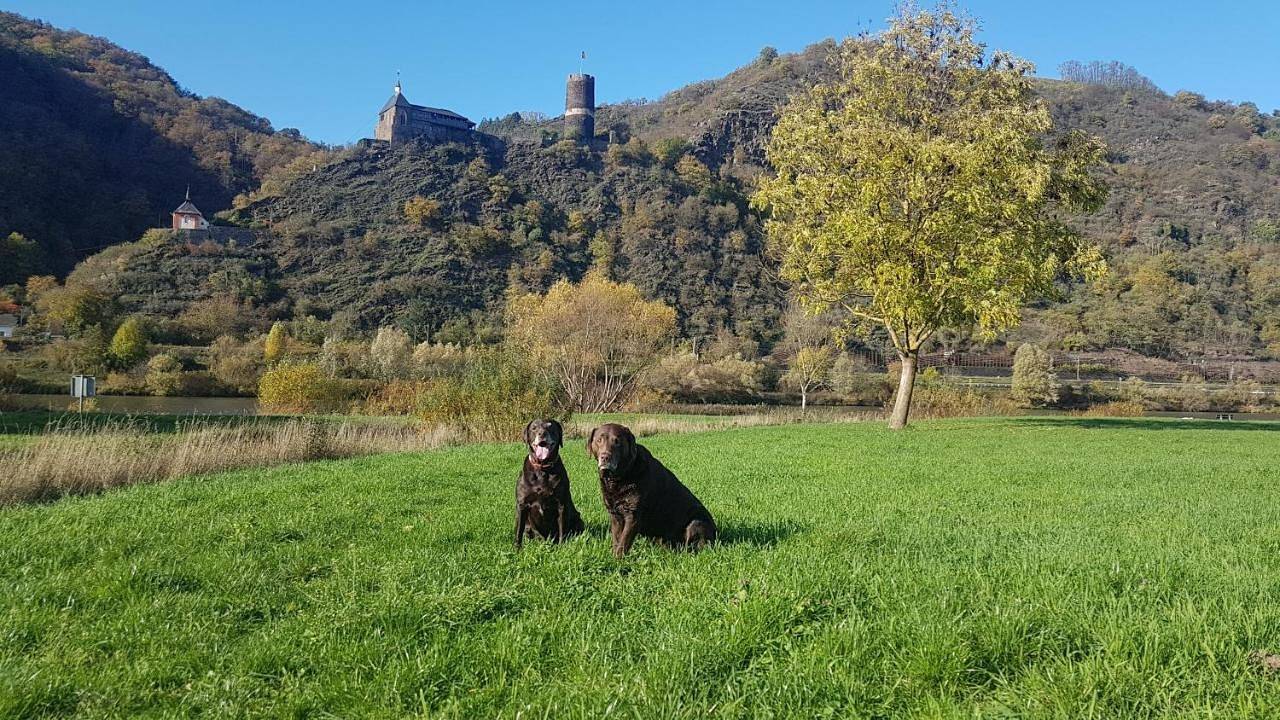 Ganze Wohnung, Ferienhaus Leopold mit Burgblick an der Mosel in Burg Eltz, Burgen (Mosel)