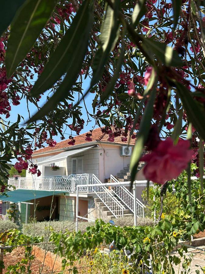 Maison d’hôte pour 3 personnes, avec jardin ainsi que vue et balcon en Korcula