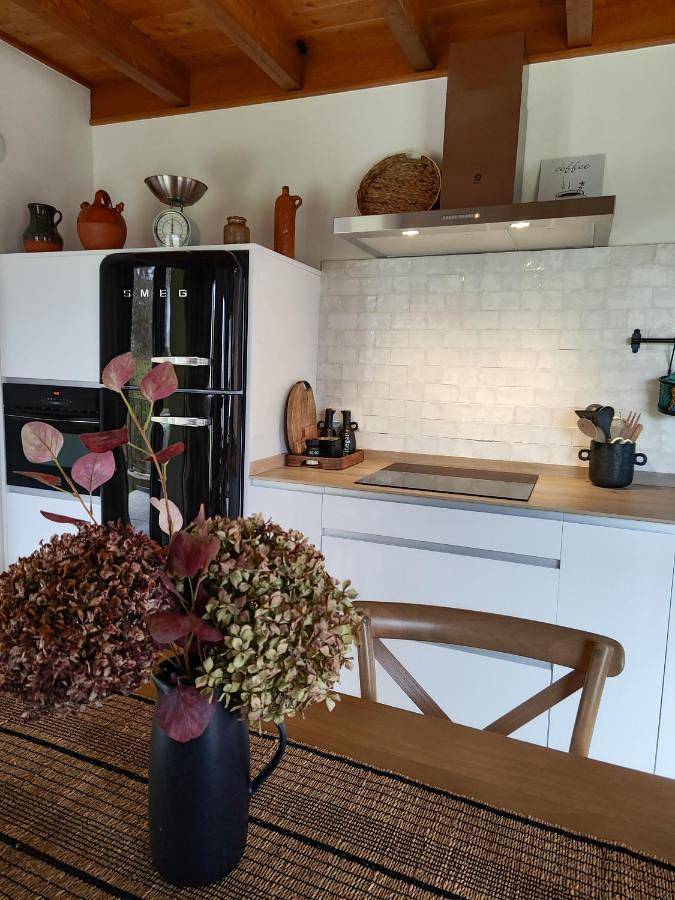 Casa rural para 3 personas, con jardín y jacuzzi en Nalón - 4