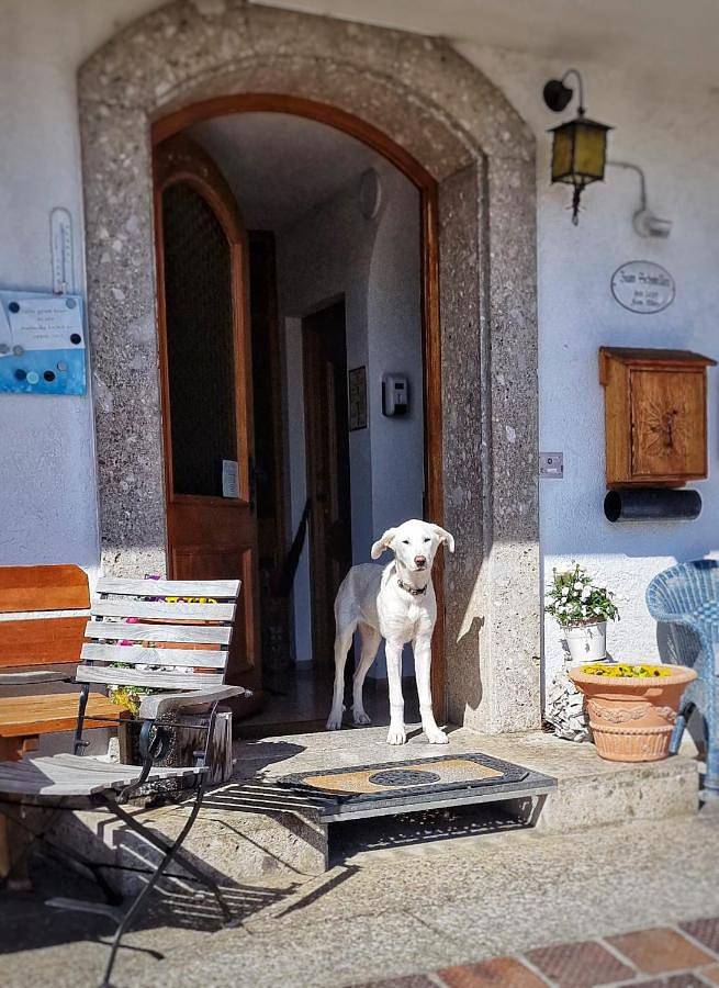 Maison d’hôte pour 2 personnes, avec jardin ainsi que vue et balcon, animaux acceptés
