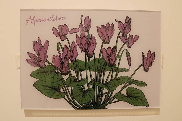 BnB für 4 Personen in Unterammergau