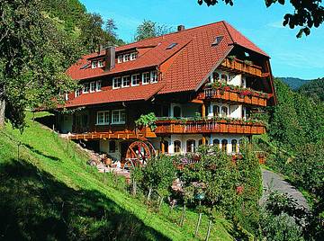 Vacation Apartment for 4 Guests in Bad Peterstal-Griesbach, Black Forest, Picture 2