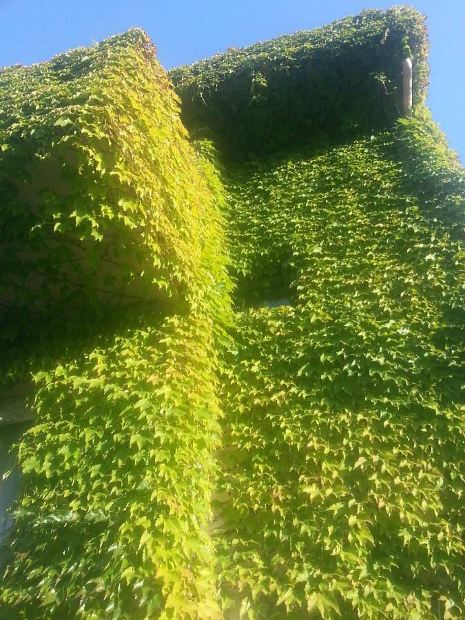 Aldodici12 in Sorso, Province de Sassari