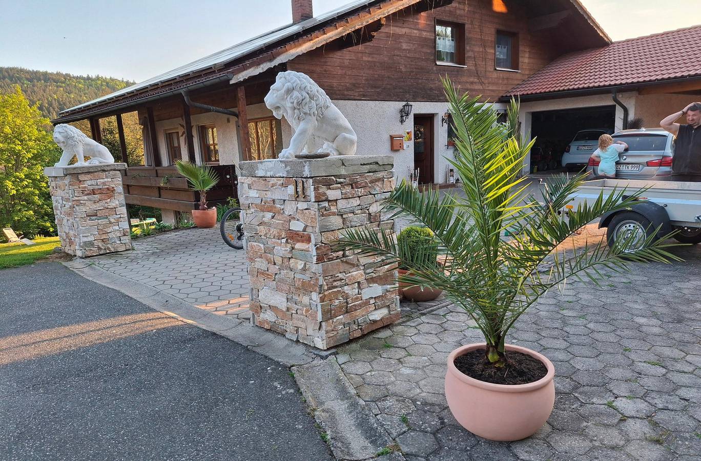 Ferienwohnung Goldfasan - Ferienwohnung Goldfasan in Lam, Ostbayern