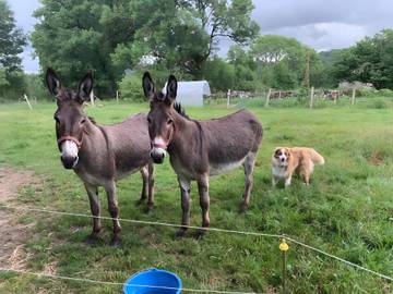Location De Vacances pour 7 Personnes dans Région de Mauriac, Cantal, Photo 1