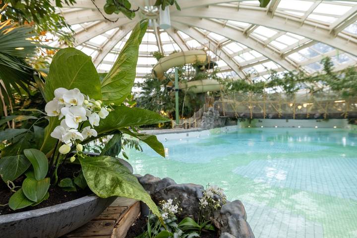Gîte pour 6 personnes, avec piscine et sauna, animaux acceptés aux Pays-Bas - 2