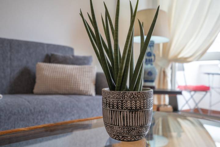 Apartamento inteiro, Apartamento 'Escadinhas' com Terraço Privado, Varanda e Wi-Fi in Santa Maria, São Gonçalo de Lagos