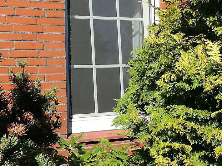 Ferienhaus für 3 Personen, mit Garten in Dornum - 4