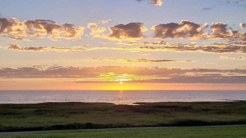 Ferienhaus für 7 Personen, mit Terrasse, mit Haustier in Højer - 4