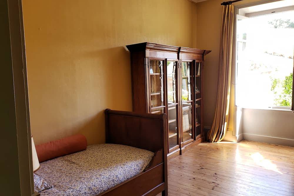 Large family house in a 19th century Hôtel Particulier in Donzère, Région de nyons