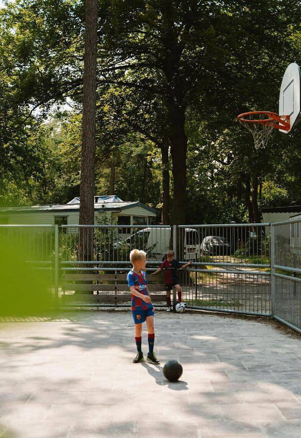Recreatiepark de Vossenburcht Ijhorst in Regio Zwolle