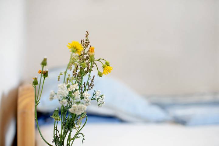 Ganzes Studio, Einzimmerapartment 'Appartement 1 - Hufeisen' mit Gemeinschaftsterrasse und Wi-Fi in Wietstock, Ludwigsfelde
