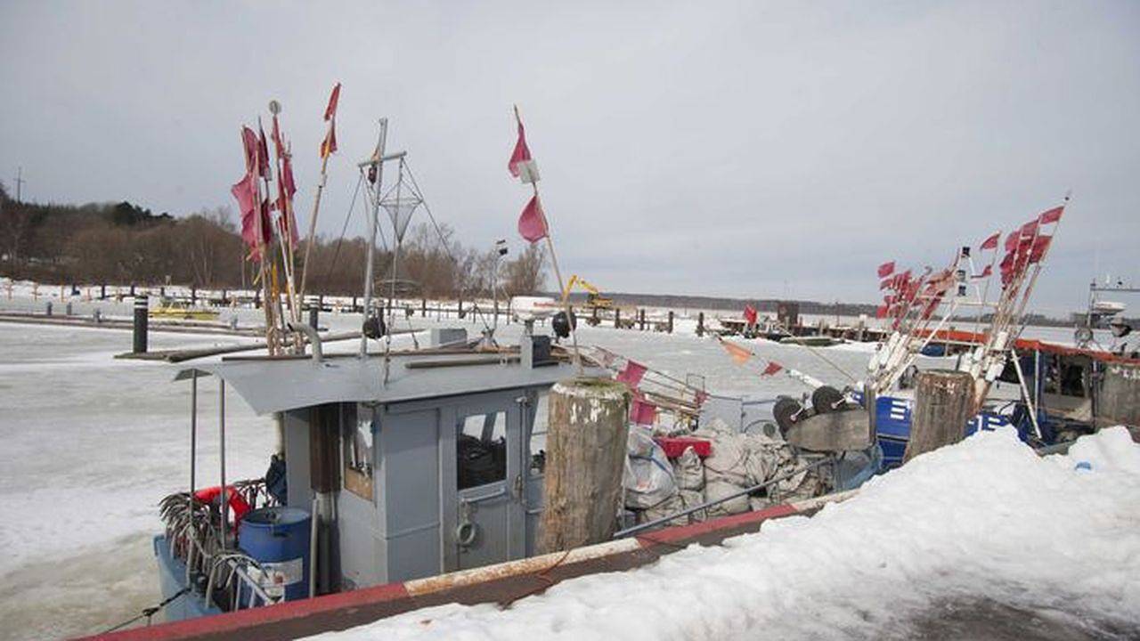 Ganze Ferienwohnung, Ferienwohnung für 6 Personen (96 m²) in Klausdorf (Nordvorpommern) in Klausdorf, Stralsund Umland
