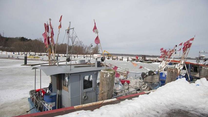 Ferienwohnung für 7 Personen, mit Garten, mit Haustier in Klausdorf - 2