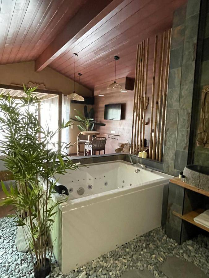 Gîte pour 2 personnes, avec jardin ainsi que sauna et jacuzzi à Vernet - 2
