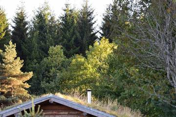 Gîte pour 6 personnes, avec terrasse ainsi que jardin et sauna, animaux acceptés à Fay-sur-Lignon