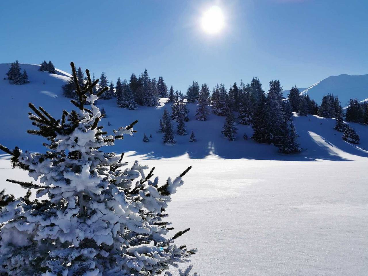 Ganze Wohnung, Bauernhof Wolf - Vergissmeinnicht in Nauderer Berge, Nauders