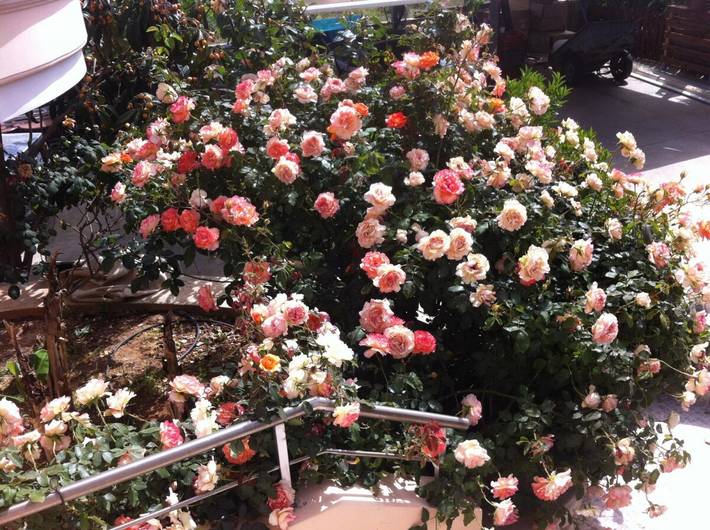 Ferienhaus für 7 Personen, mit Terrasse in Chania und Umgebung - 4